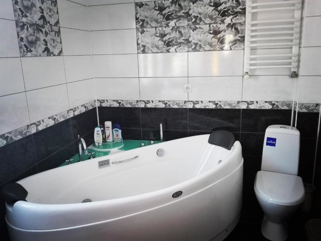 Гостевой дом Guest house Anita Микуличин